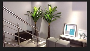 Hotel Palmas Executivo