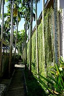 Signature Phuket Resort