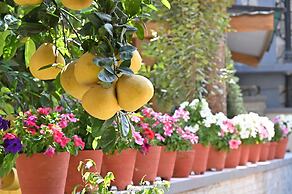 Hotel Pokhara Village & SPA