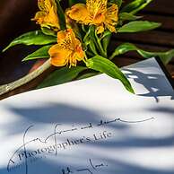 Be Jardin Escondido by Coppola