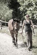 Agriturismo Fattoria Lavacchio