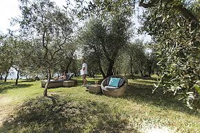 Agriturismo Fattoria Lavacchio