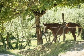 Agriturismo Fattoria Lavacchio
