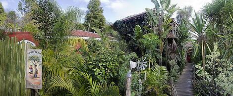 Bamboo, The Guest House