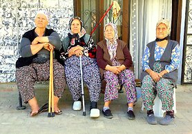 Amazon Petite Palace