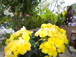 Paradise Lost Hotel-Apartments