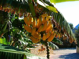 Paradise Lost Hotel-Apartments