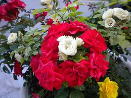 Paradise Lost Hotel-Apartments