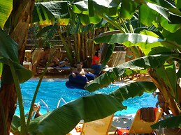 Paradise Lost Hotel-Apartments