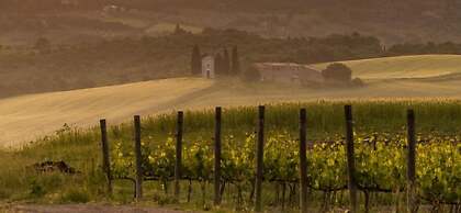 Agriturismo La Buca di Bellugi