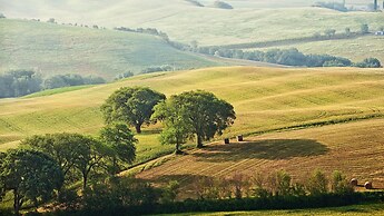 Agriturismo La Buca di Bellugi