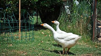 Agriturismo La Buca di Bellugi