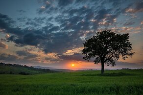 Agriturismo La Buca di Bellugi