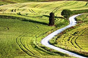 Agriturismo La Buca di Bellugi
