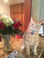 Rio Hondo Condominiums