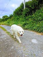 Seafield Farmhouse