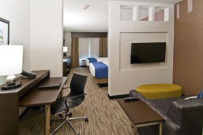 Holiday Inn Austin Airport by IHG