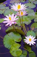 Tirta Ayu Hotel & Restaurant