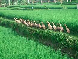 Villa Puri Darma Agung