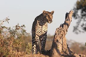 Leopard Mountain Safari Lodge