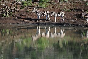 Leopard Mountain Safari Lodge