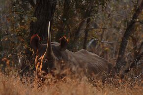 Leopard Mountain Safari Lodge