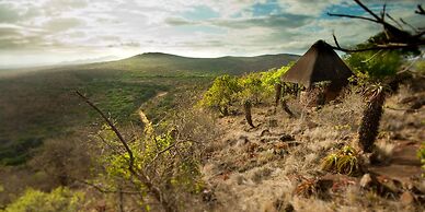 Leopard Mountain Safari Lodge