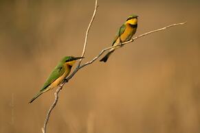 Leopard Mountain Safari Lodge