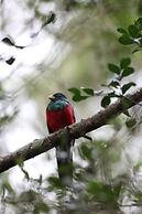 Leopard Mountain Safari Lodge