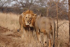 Leopard Mountain Safari Lodge