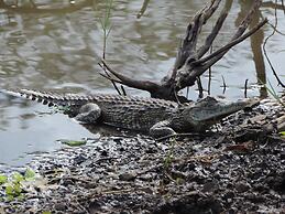 Leopard Mountain Safari Lodge