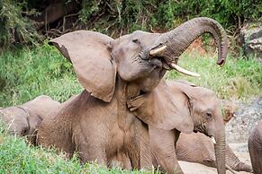 Leopard Mountain Safari Lodge