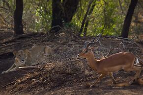 Leopard Mountain Safari Lodge