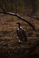 Leopard Mountain Safari Lodge
