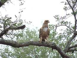 Leopard Mountain Safari Lodge