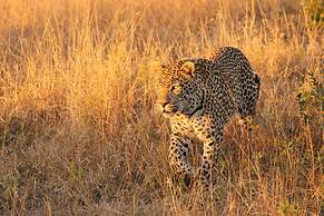 Leopard Mountain Safari Lodge