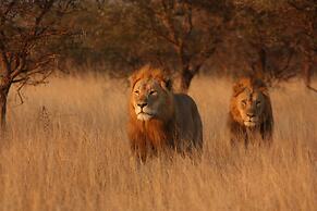 Leopard Mountain Safari Lodge