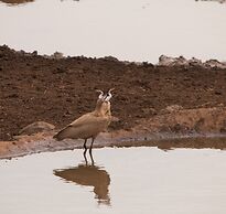 Leopard Mountain Safari Lodge