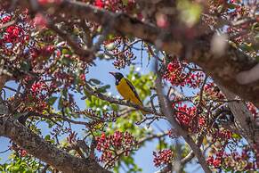 Leopard Mountain Safari Lodge