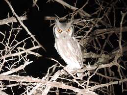 Leopard Mountain Safari Lodge