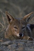 Leopard Mountain Safari Lodge