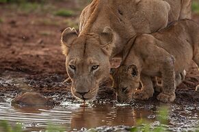 Leopard Mountain Safari Lodge