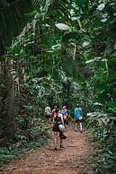 Bocawina Rainforest Resort & Adventures