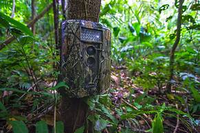 Bocawina Rainforest Resort & Adventures