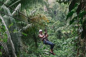 Bocawina Rainforest Resort & Adventures
