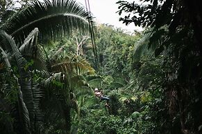 Bocawina Rainforest Resort & Adventures