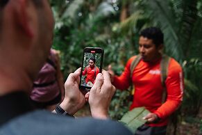 Bocawina Rainforest Resort & Adventures