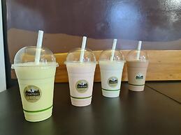 Chateau Backpacker & Motels