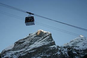 Ternelia - Le Telemark