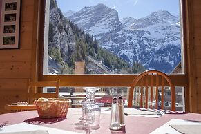 Ternelia - Le Telemark